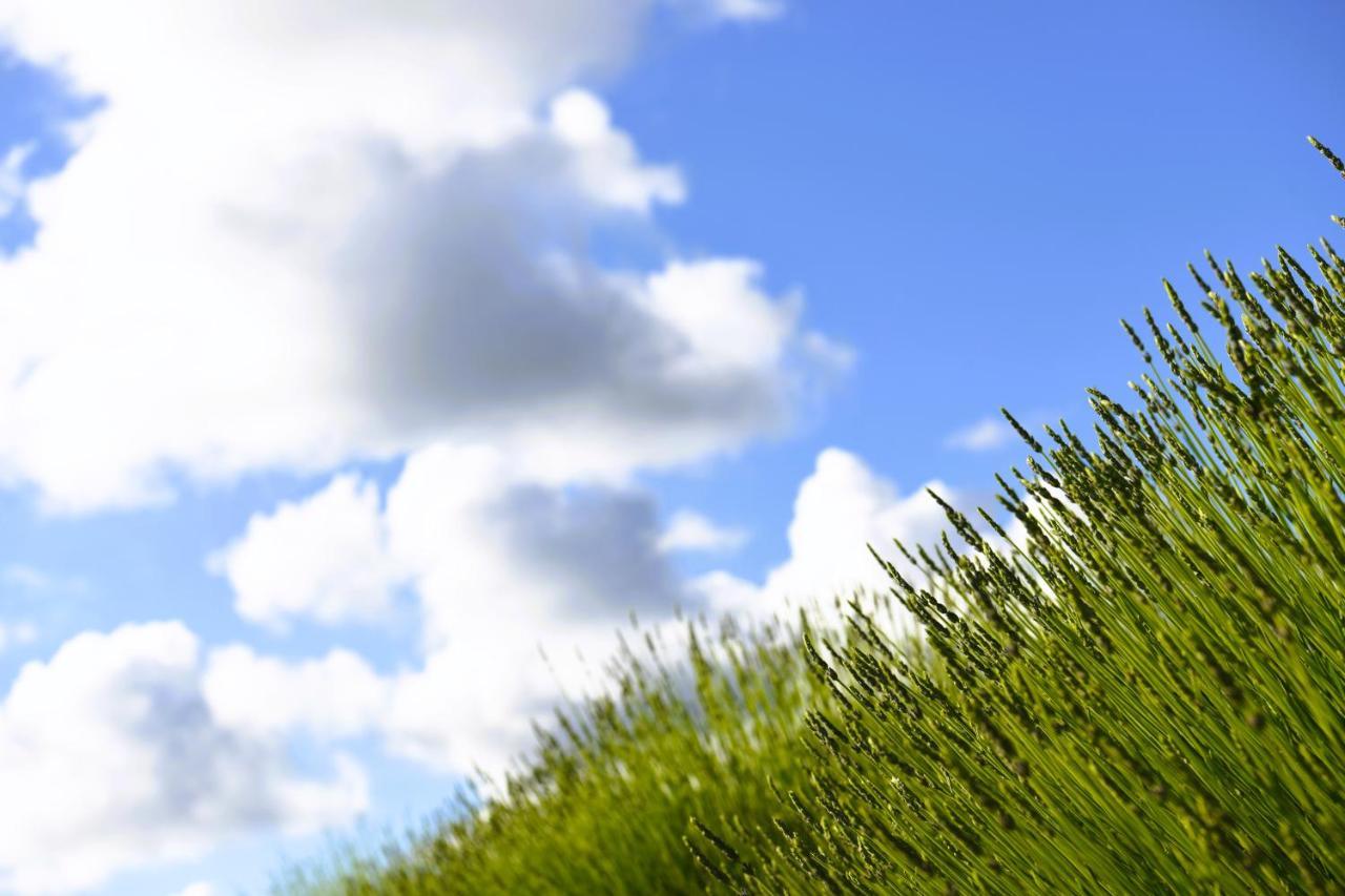 Lavanda Farm Apartmani ラコヴィツァ エクステリア 写真