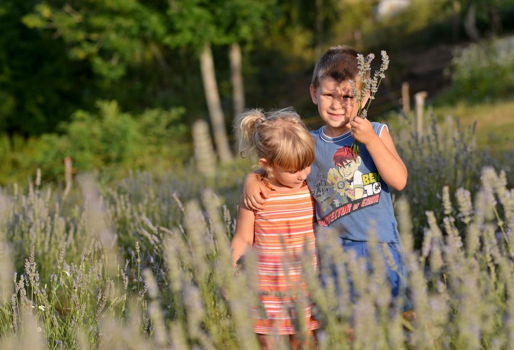 Lavanda Farm Apartmani ラコヴィツァ エクステリア 写真