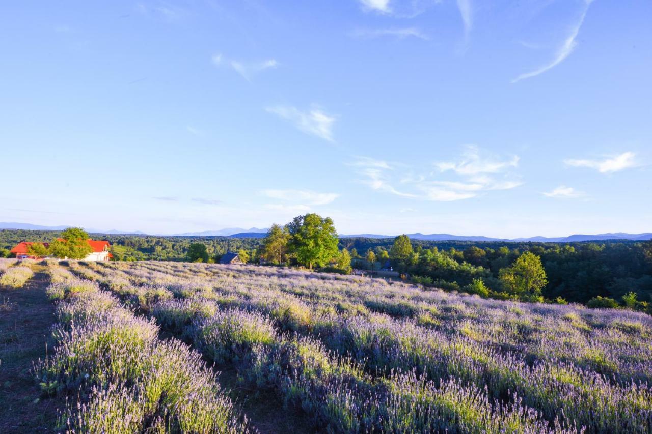 Lavanda Farm Apartmani ラコヴィツァ エクステリア 写真