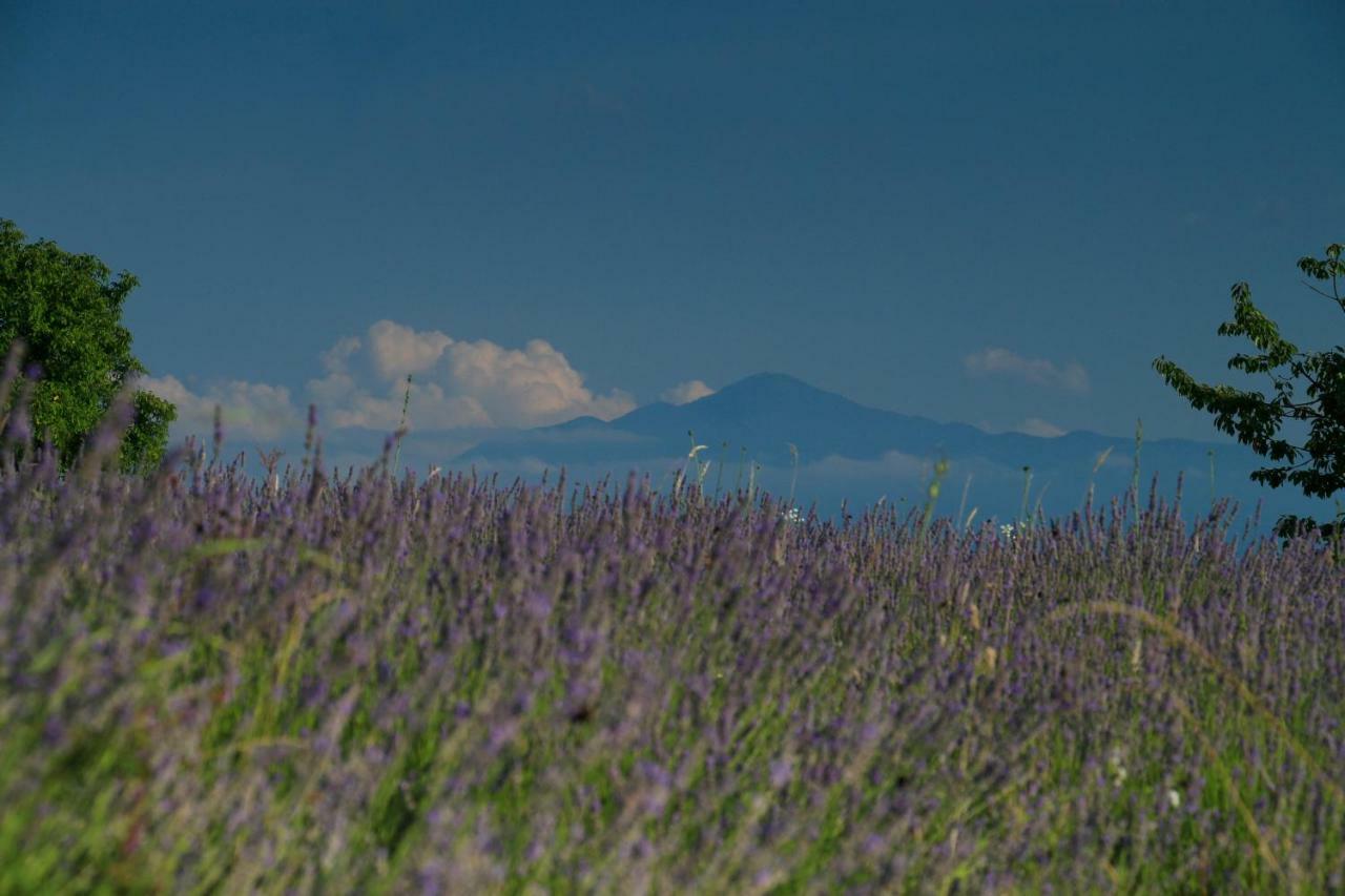 Lavanda Farm Apartmani ラコヴィツァ エクステリア 写真