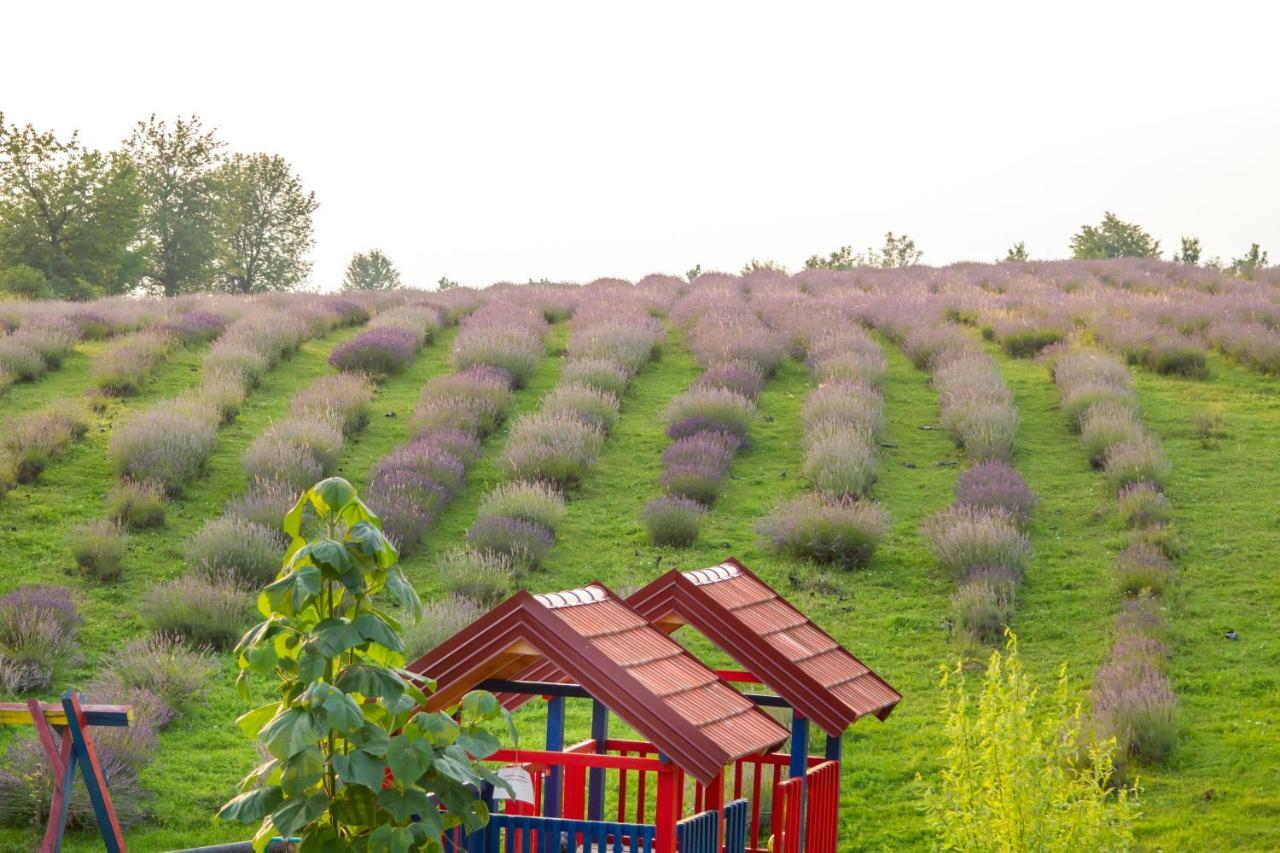 Lavanda Farm Apartmani ラコヴィツァ エクステリア 写真