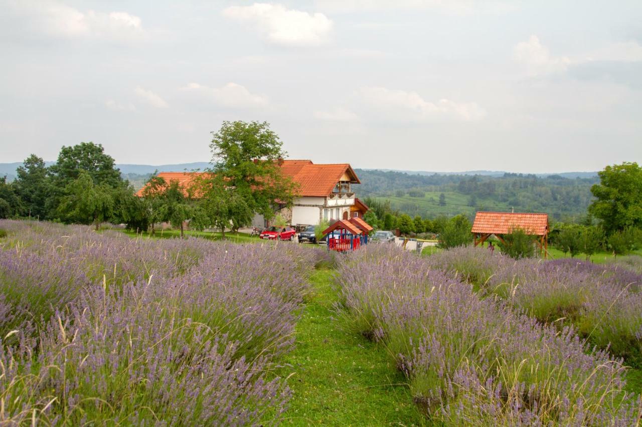 Lavanda Farm Apartmani ラコヴィツァ エクステリア 写真